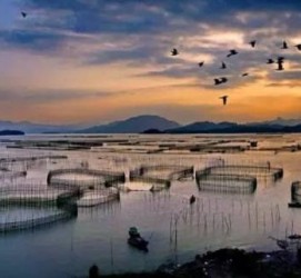 喀什伴游中国网景点丰富(旅游网介绍)