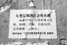 喀什珠海伴游雇用网(珠海游览社雇用信息)