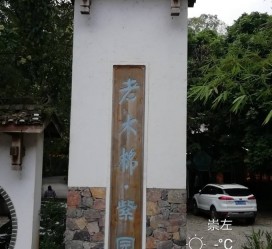 喀什关于伴游中国伴游你们伴得是什么游的信息