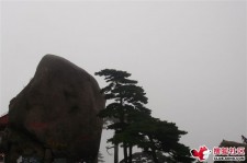 喀什上海伴游私家陪游雇用女模(上海伴游私家陪游雇用女模特)