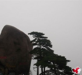 喀什上海伴游私家陪游雇用女模(上海伴游私家陪游雇用女模特)