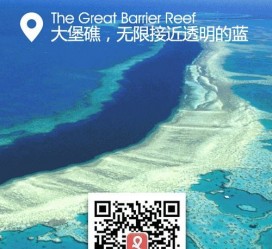 喀什中国250家旅行社结伴游新西兰(新西兰当地旅行社)