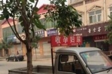 喀什上海伴游 用伴游造句大全(5