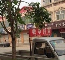 喀什上海伴游 用伴游造句大全(5