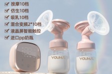 喀什奶模(奶模型)