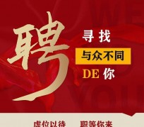 喀什商务伴游招聘 重庆星级酒店诚招司机服务员夜场保安
