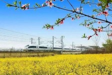 喀什高铁游(高铁游戏下载手机版)