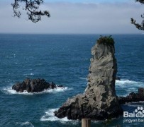 喀什旅游全攻略(上海旅游全攻略)