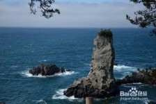 喀什旅游全攻略(上海旅游全攻略)