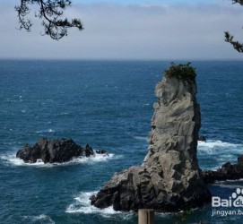喀什旅游全攻略(上海旅游全攻略)