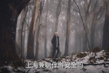 喀什上海私人伴游 上海伴游，上海兼职伴游安全吗