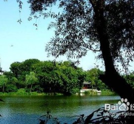 喀什西湖旅游攻略(上海到杭州西湖旅游攻略)
