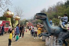 喀什中国伴游带你打卡网红南山竹海(南山竹海网上预约)