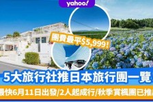 喀什旅游价格(旅游价格机制)