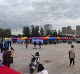 喀什通辽伴游雇用(哈尔滨伴游雇用)