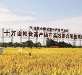 喀什关于成都商务伴游外围雇用的信息