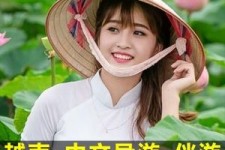 喀什日本关东伴游中国(日本关西旅行)