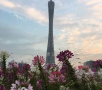喀什广州旅游攻略(杭州到广州旅游攻略)