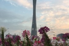 喀什广州旅游攻略(杭州到广州旅游攻略)