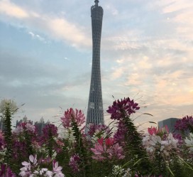 喀什广州旅游攻略(杭州到广州旅游攻略)