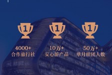 喀什上海私人伴游 ​ “小而美”的新时代：2020年国内新跟团消费报告