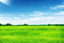 喀什上海伴游 上海模特伴游微信号的交友宣言