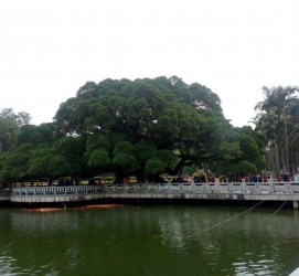 喀什福州旅游攻略(福州旅游攻略二日游)