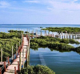 喀什旅游哪里好玩(云南旅游哪里好玩)