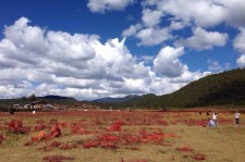 喀什旅游去处(暑期最好的旅游去处)