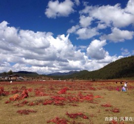 喀什旅游去处(暑期最好的旅游去处)